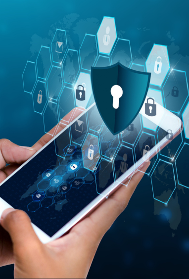 Advanced Security & Fraud Protection​